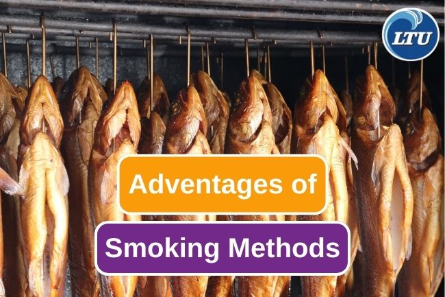 7 Advantages Of Smoking Fish Method